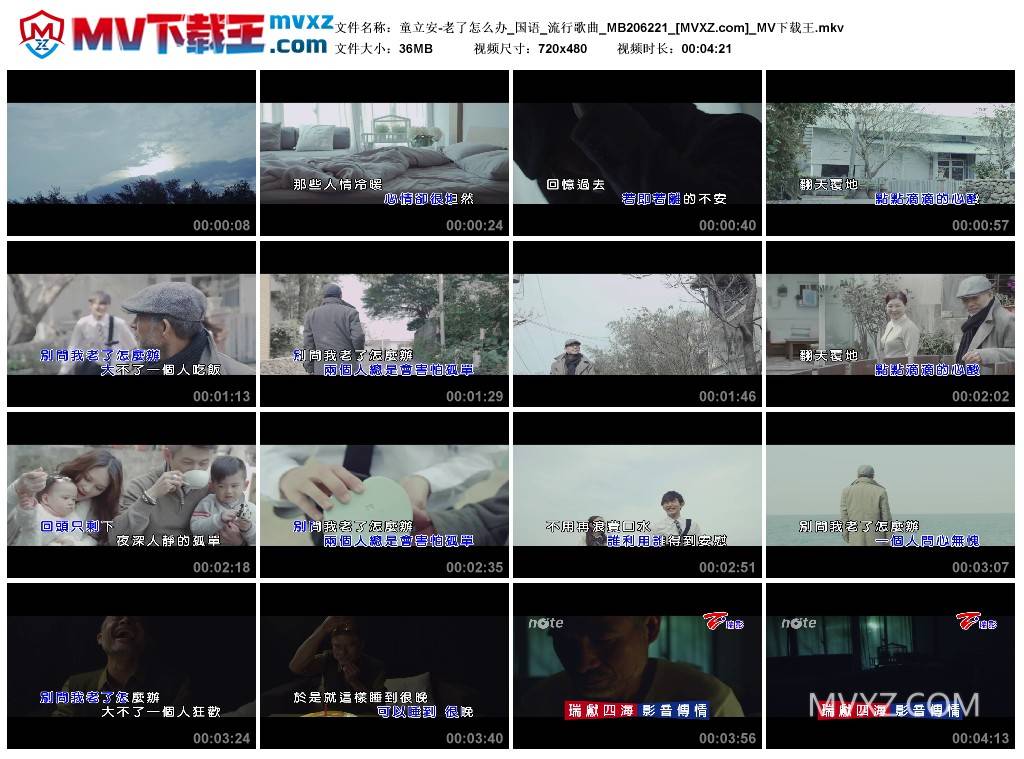 童立安-老了怎么办_国语_流行歌曲_MB206221